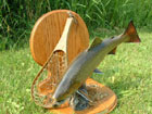 trout fish taxidermy