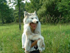 wolfe hat taxidermy